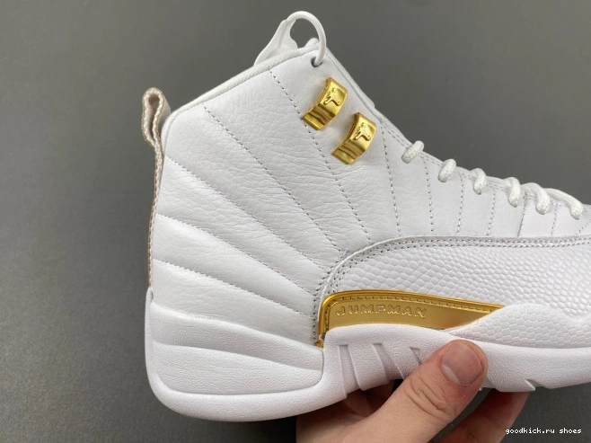 Jordan 12 WMNS FD9101-007 Air Phantom 0726